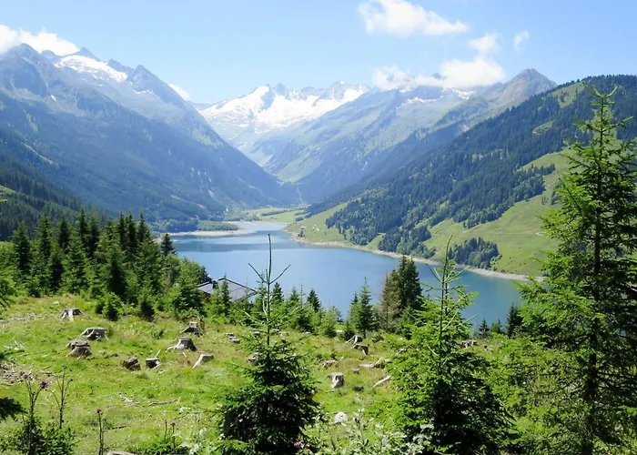 Wildauer By Interhome Apartamento Zellberg